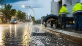 Alerta en el Chaco: denunciaron el desmonte de 1.800 hectáreas junto al Parque Loro Hablador
