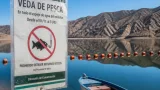 Comenzó la veda de pesca en los diques de San Juan: excepciones, límites y qué embalses quedan fuera