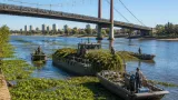 Comienza el operativo conjunto con el Ejército para retirar camalotes de la laguna Setúbal