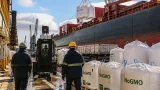 Concepción: puerto entrerriano despachó 18.510 t de harina de soja NoGMO rumbo a Dinamarca