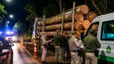 Eldorado: seis detenidos, controles viales y un camión con rollos de guatambú interceptado