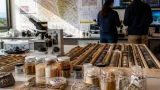 Investigan el potencial de tierras raras y minerales críticos en San Luis: análisis desde la UNSL