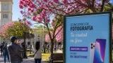 La Municipalidad abre un concurso de fotos con celulares para destacar los árboles florecidos de Corrientes