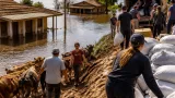 Más de mil personas afectadas por la crecida del Paraná en Chaco: evacuaciones y traslado de ganado