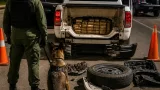 Perro detector detectó droga en la Ruta 16: hallaron más de 53 kg de marihuana y detuvieron al conductor