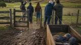 Preocupación en General Pico tras ataque de puma que mató a tres potrillos en un haras