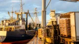 Río Negro obtuvo 200 toneladas de merluza de la Reserva Social y obliga descargas en puertos provinciales