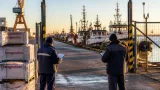 Santa Cruz reclama 50.000 toneladas de cuota social por el langostino y pide reconocer el cierre del Golfo San Jorge