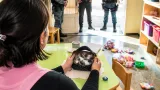 Un niño de 2 años encontró un monedero con 71 envoltorios de cocaína en un jardín maternal de Córdoba