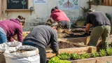 Viedma: comienza una capacitación en huerta agroecológica orientada a la inclusión y la salud comunitaria