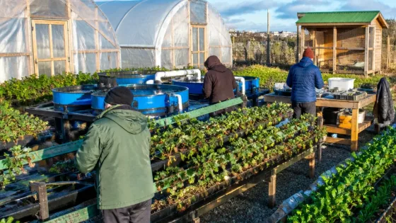 Río Grande abre la primera chacra agroexperimental para adaptar producción a la realidad fueguina