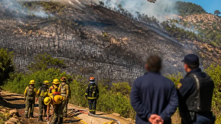 Detuvieron a un hombre tras un incendio que consumió 15 hectáreas en Punilla