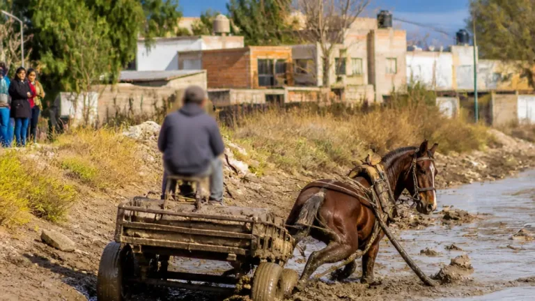 En Chimbas crece la preocupación por video que muestra posible maltrato a un caballo