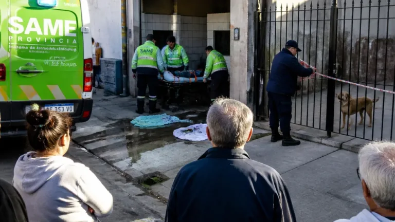En La Plata: pitbull ataca a un hombre en un lavadero de Tolosa y quedó internado