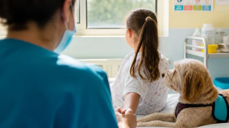 En Tandil, perros de terapia cambian la recuperación en el Hospital de Niños