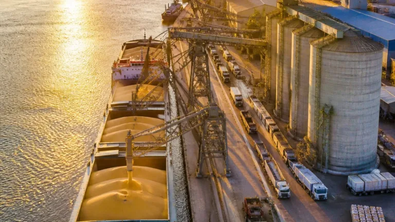 Entre Ríos concentró nueve de cada diez toneladas del cabotaje fluvial de granos en 2025