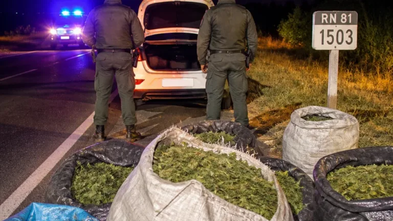 Gendarmes hallan 214 kg de hojas de coca en la Ruta 81 y secuestran el cargamento