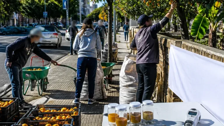 La Plata: 3.000 kilos de naranjas aprovecharon en una nueva edición de “Misión Naranja”
