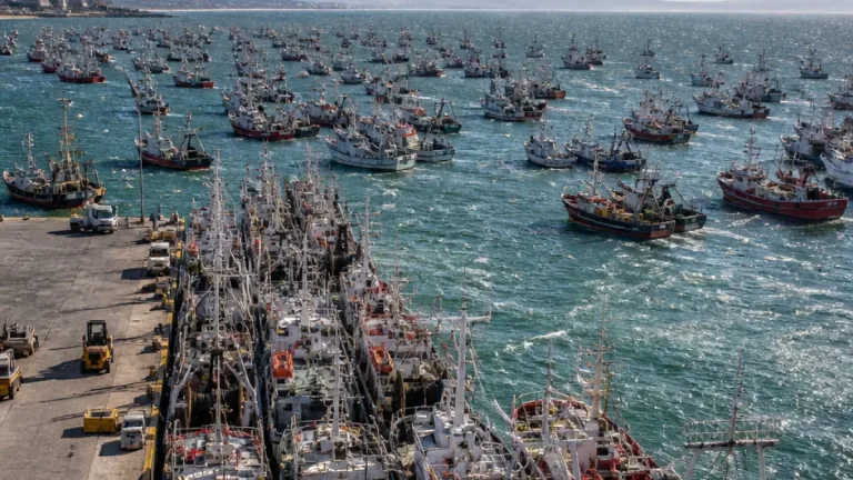 Más de 110 barcos langostineros se resguardan frente a Puerto Madryn por fuertes vientos