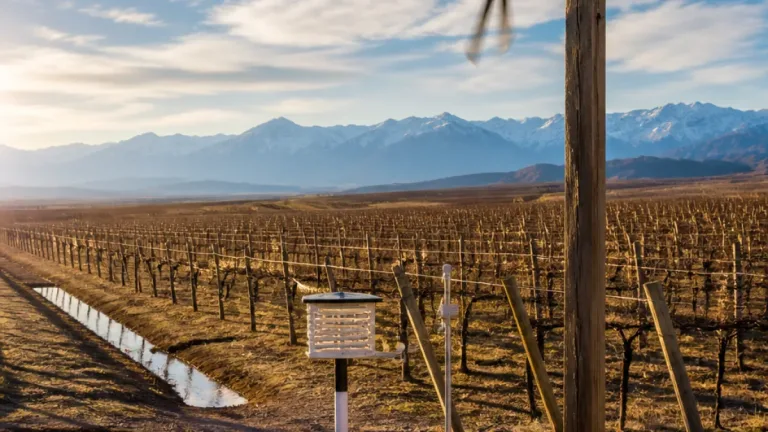 Mendoza: jornada con cielo parcialmente nublado y temperaturas cercanas a los 10 °C