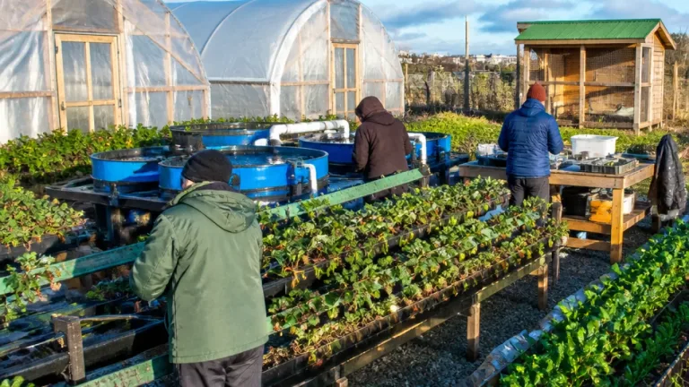 Río Grande abre la primera chacra agroexperimental para adaptar producción a la realidad fueguina