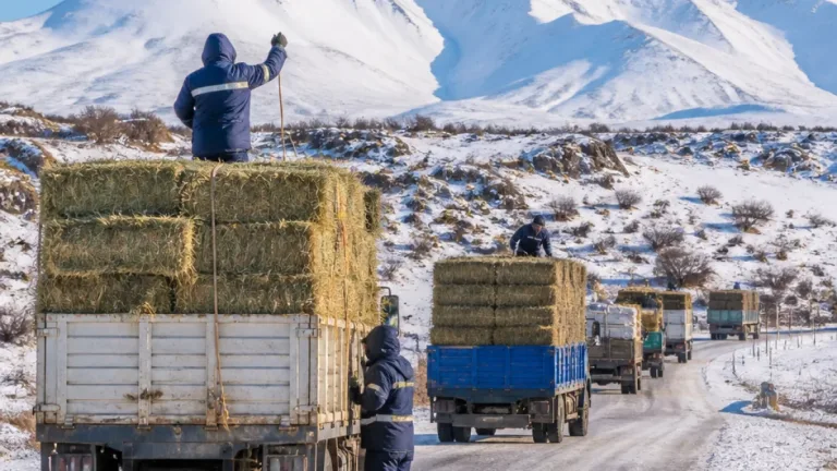 Salió el primer envío de forraje para crianceros aislados por la nevada en Neuquén
