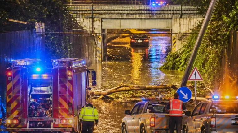 Temporal: tres rutas provinciales cortadas y alerta amarilla en amplias zonas de Chubut