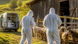 Baden: Q‑Fieber‑Fälle in Deutschland mahnen zu Vorsicht bei Tierkontakt