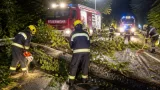 Baum stürzt auf L69 bei Gmünd: Feuerwehr räumt Fahrbahn und sichert Einsatzstelle