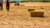 Dürre im Bezirk Krems: Ernteausfälle, Futterknappheit und gesicherte Trinkwasserversorgung