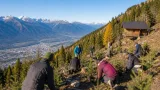 Freiwillige pflanzen 2.000 Jungbäume oberhalb von Innsbruck – Schutzwald wird versterkt
