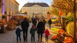 Gänserndorf: Bezirk erneut ohne Gault&Millau‑Haube – Kräutergarten als Tipp vermerkt