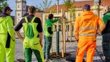 Jungbaumpflege in Hollabrunn: Plätze rasch ausgebucht, Praxis für Gemeindemitarbeiter