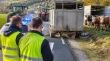 Kontrolle im Bezirk: 52 schwere Mängel sorgen in Lilienfeld für Fahrverbote und Anzeigen