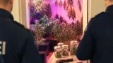 Polizei findet Indoor-Cannabis-Anlage in Lienz: Waffenverbot missachtet
