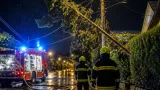 Sturmnacht und mehrere Großeinsätze im Bezirk Baden beschäftigen Feuerwehren