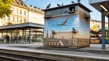 Wien setzt auf mobilen Taubenschlag in Ottakring: Geburtenkontrolle zwischen U‑ und S‑Bahn