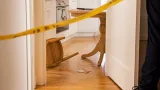 Wien: Sohn bedroht 75‑jährige Mutter mit Messer und raubt ihr 40 Euro — Festnahme
