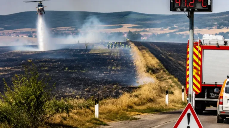 Großbrand südlich von Wiener Neustadt: 100 Hektar betroffen, Hitzerekord bei 41,2 °C