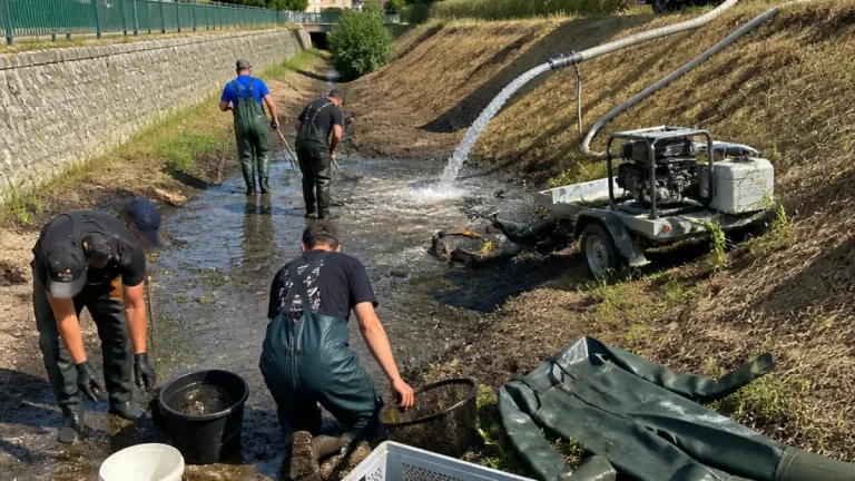 Traiskirchen: Feuerwehr rettet Fische aus fast trockenem Mühlbach