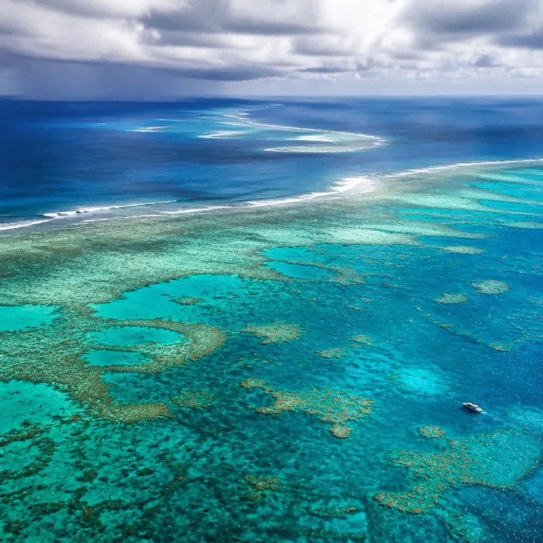 Leichte Erholung am Great Barrier Reef: Monsun mildert Hitzestress, AIMS verzeichnet Zuwächse