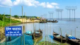 ভোলা-বরিশাল সেতু পরিকল্পনায় ইলিশ অভয়াশ্রমের ক্ষতি আশঙ্কা, পরিবেশবিজ্ঞানীরা সতর্ক