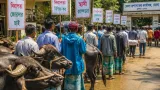 ভোলায় চরাঞ্চলের মহিষ-গরু চুরি বন্ধ করে নিরাপত্তা জোরদারের দাবি