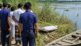 চুয়াডাঙ্গা আলমডাঙ্গায় মাথাভাঙ্গা নদী থেকে বৃদ্ধের মরদেহ উদ্ধার