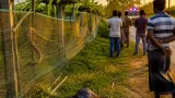 ঝিনাইদহ মহেশপুরে সাপের কামড়ে কৃষকের মৃত্যু: স্থানীয় স্বাস্থ্য ও নিরাপত্তা নিয়ে প্রশ্ন