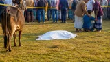 ঝিনাইদহের কালীগঞ্জে গরু চুরির সন্দেহে গণপিটুনি: অন্তত একজন নিহত, একজন হাসপাতালে