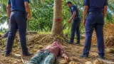 নারিকেল গাছ থেকে ডাব চুরির সময় ভিমরুলের কামড়ে গাছ থেকে পড়ে গুরুতর আহত এক ব্যক্তি