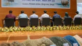নিষিদ্ধ জাল বন্ধ হলে দুই বছরে মাছ উৎপাদন বাড়বে—চাঁদপুরে মৎস্যচর্চায় সমন্বয়কে জোরদার করার আহ্বান