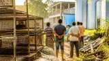 পোলট্রি শিল্পে ধস: জয়পুরহাটের হাজারো কর্মসংস্থান, উৎপাদন ও আয়ের ওপর চাপ