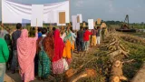 সুনামগঞ্জে সড়কপারে ৪ হাজার ৫০০ গাছ কাটা নিয়ে পরিবেশ আন্দোলন: অবিলম্বে তদন্ত ও প্রতিকার দাবি